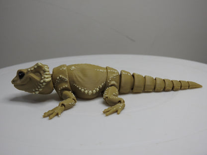 Beardie Dragon