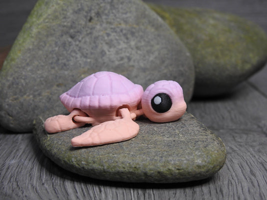 Cute Sea Turtle And Egg