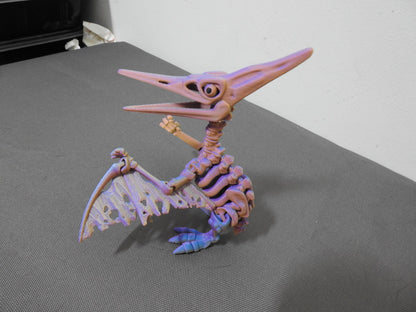 Skeleton Pteranodon Dino