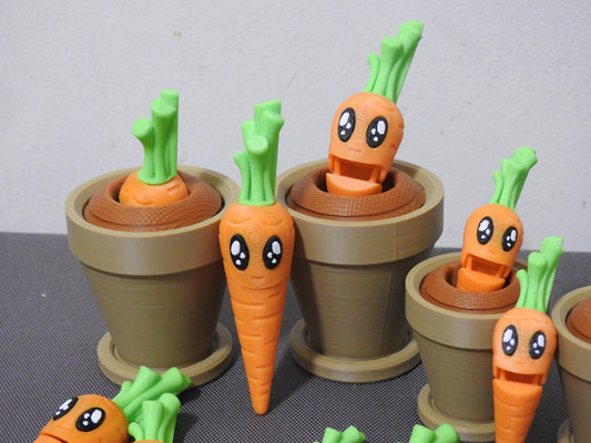 Carrot and Plantpot