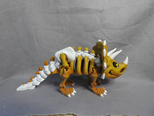 Triceratops Skeleton