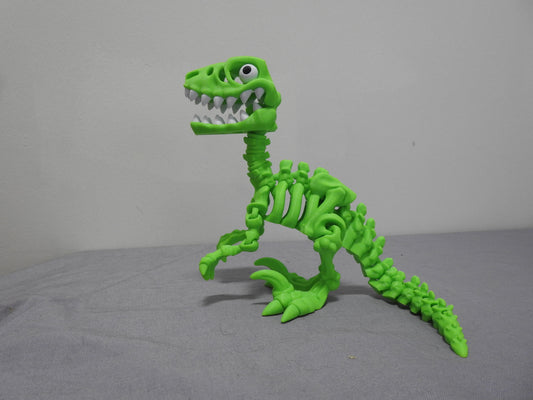 Raptor Skeleton