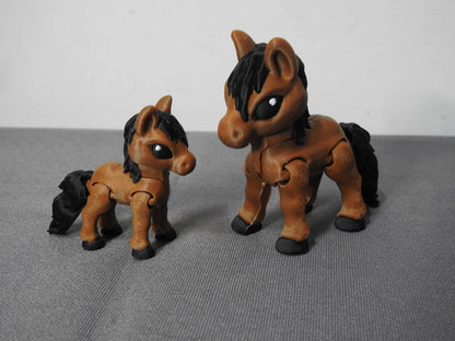 Cute Variety of Horse Breeds