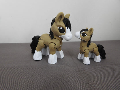 Cute Variety of Horse Breeds