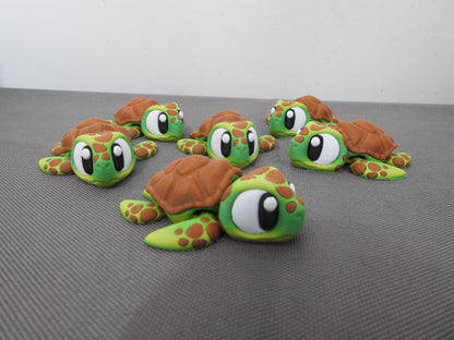 Cute Turtle