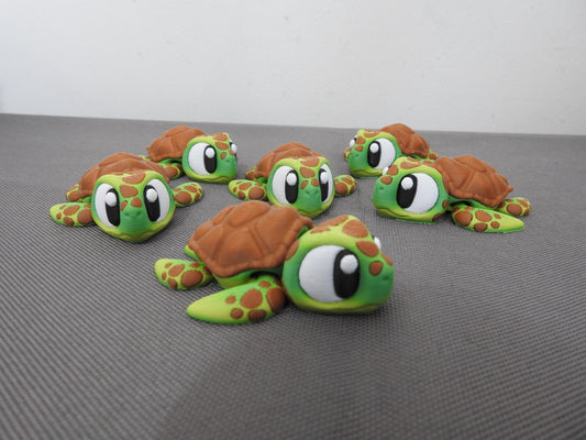 Cute Turtle