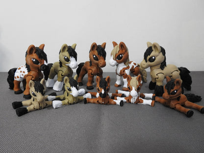 Cute Variety of Horse Breeds