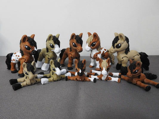 Cute Variety of Horse Breeds
