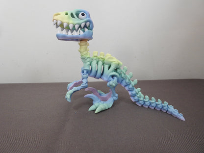 Raptor Skeleton