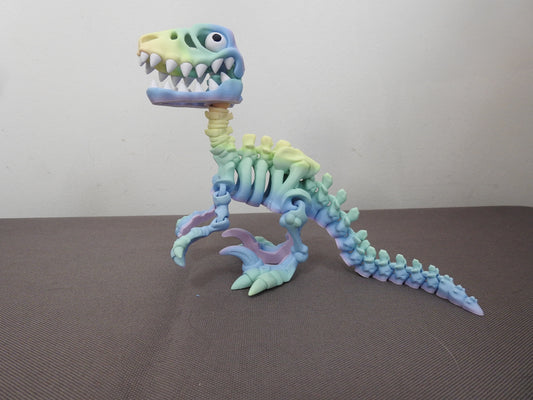 Raptor Skeleton