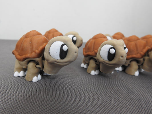 Cute Tortoise