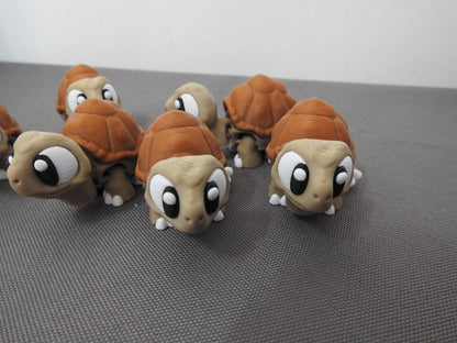 Cute Tortoise