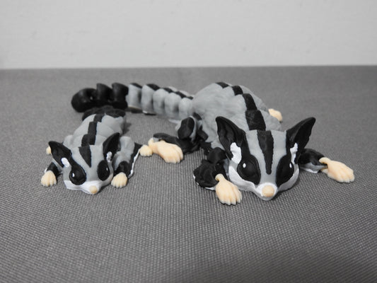 Adorable Sugar Gliders