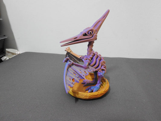 Skeleton Pteranodon Dino