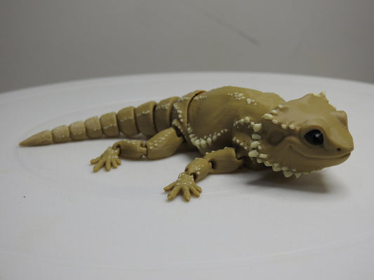 Beardie Dragon