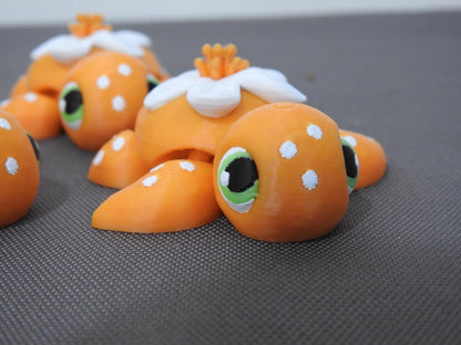 Baby Orange Blossom turtle