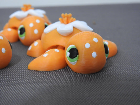 Baby Orange Blossom turtle
