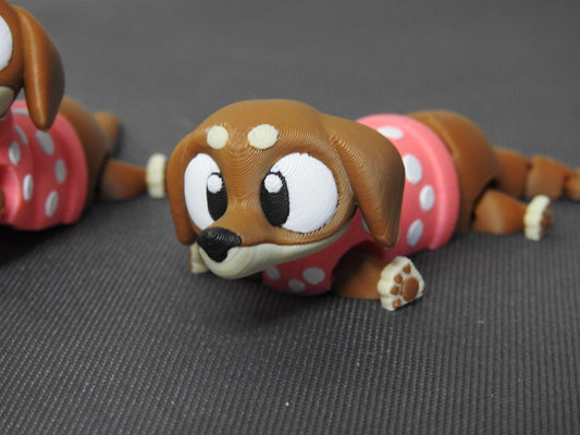 Cute Sausage Dog