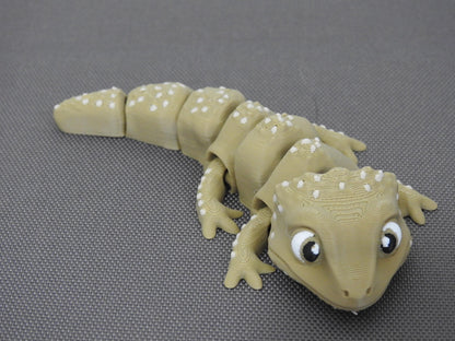 Cute Tiny Bearded Dragon