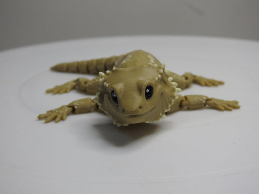 Beardie Dragon